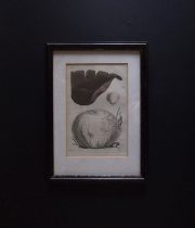 キノコの版画 28 額装品
