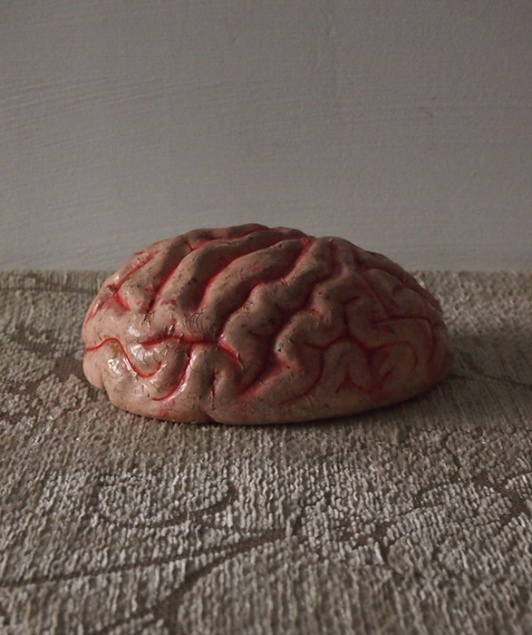 人体解剖模型 Cerveau 脳