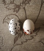 鳥の卵 réplique 2