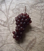 疑似果物 raisin 2
