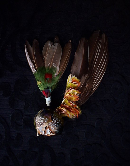 アンヴァンテール　装飾用羽根と標本箱