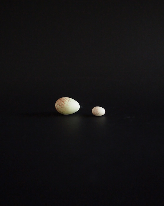 小さな擬似卵2個