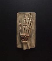 Modèle anatomique de la main