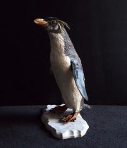 Bourrage de pingouin