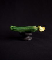 Garnier Valletti Model “zucchini”