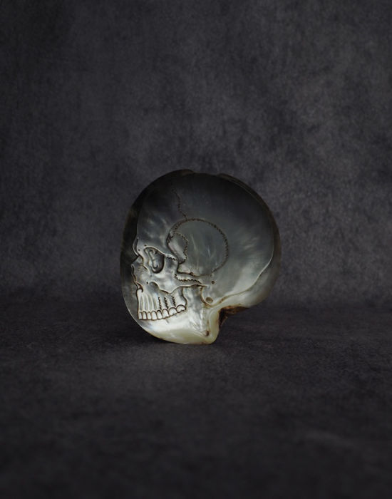 Crâne d’huître perlière　真珠貝の髑髏