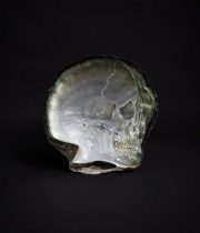 Crâne d’huître perlière　真珠貝の髑髏 Ⅱ
