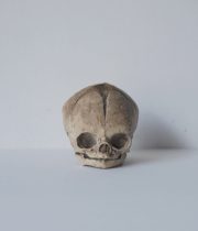 頭蓋骨のオブジェ Ⅱ