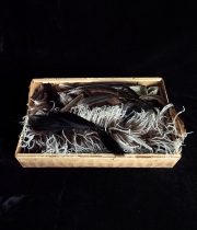 箱入り羽飾り