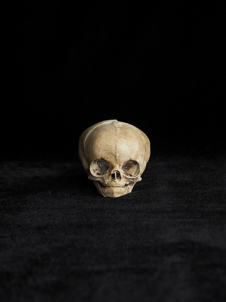 頭蓋骨のオブジェ Ⅳ